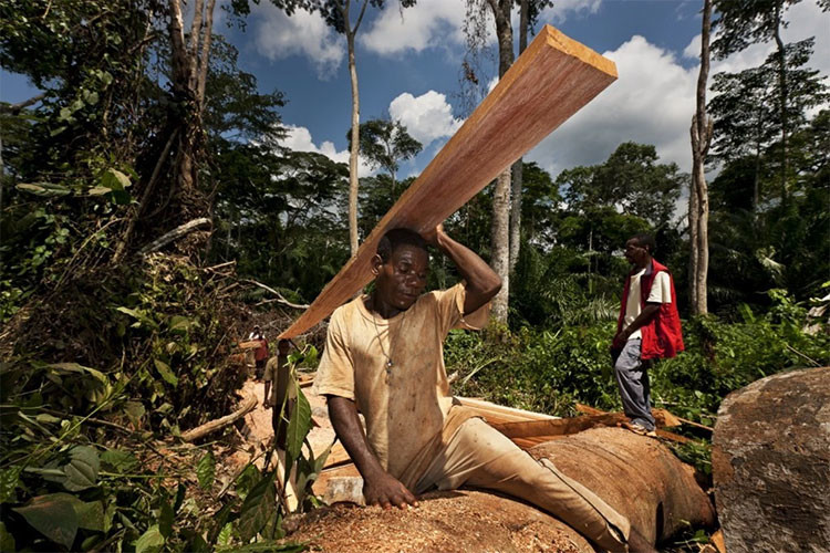 Congo Basin