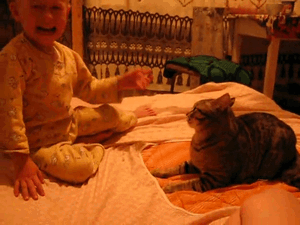 Convertir GIF a video HTML5