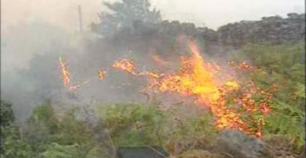 No es la primera vez que el fuego arrasa con varias hectáreas de la reserva naturas del departamento de Cochabamba.