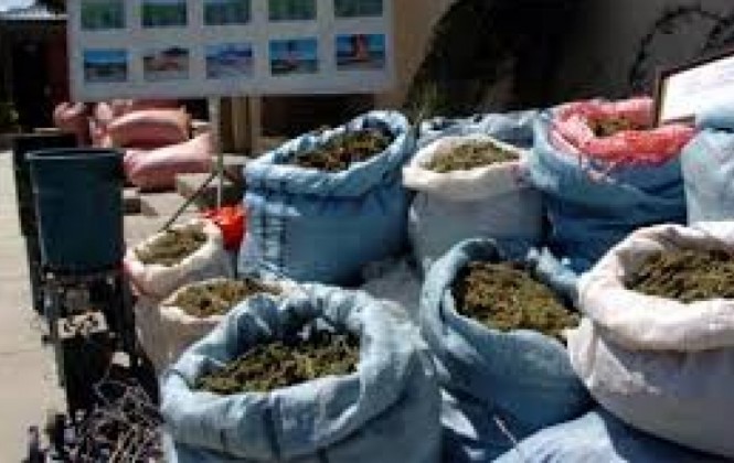 Aprehenden a ciudadana paraguaya y decomisan 32 bolsas de marihuana