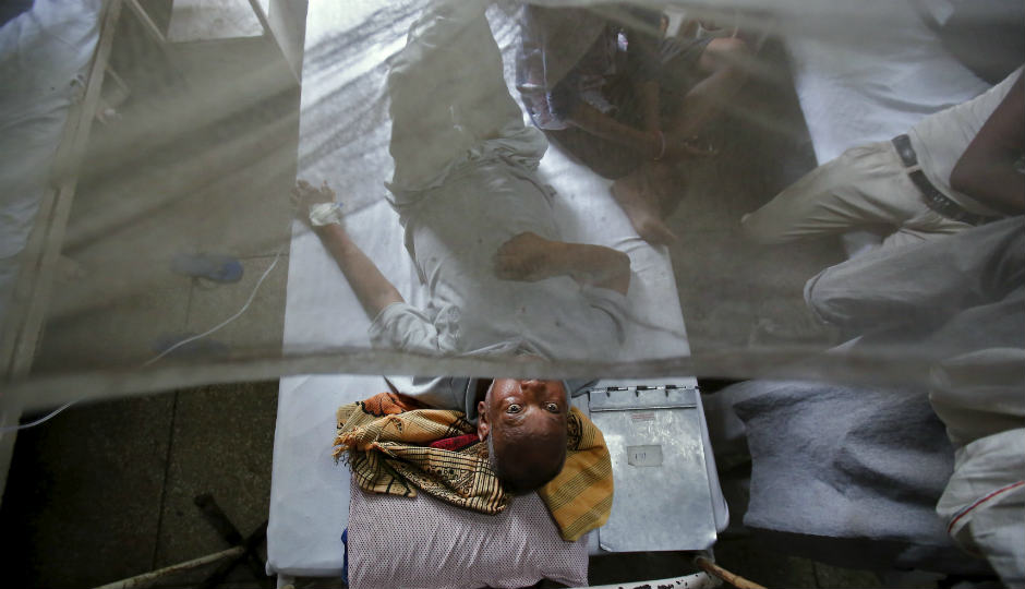 dengue