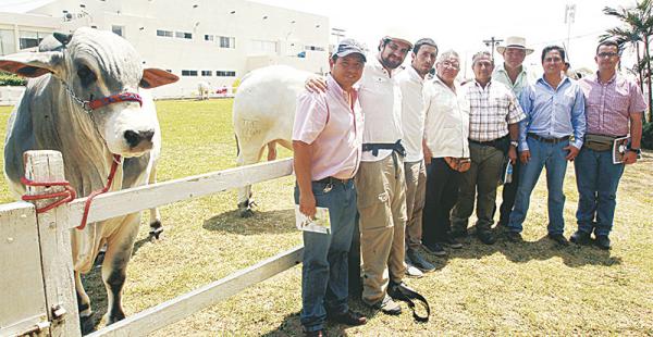 La delegación de empresarios ganaderos ecuatorianos estuvo ayer en la pista de juzgamiento del campo ferial