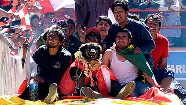 El can, bautizado como Petardo, se unió a las movilizaciones en Potosí.