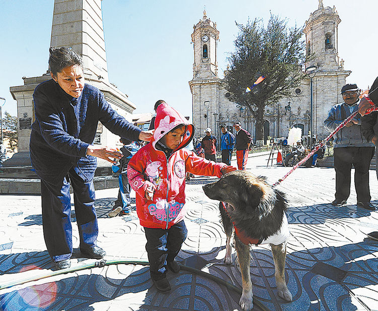 Querido. En cuanto notan su presencia en la plaza 10 de Noviembre, los habitantes potosinos se acercan al perro para saludarlo, acariciarlo o darle de comer. Fotos: José Lavayén y archivo