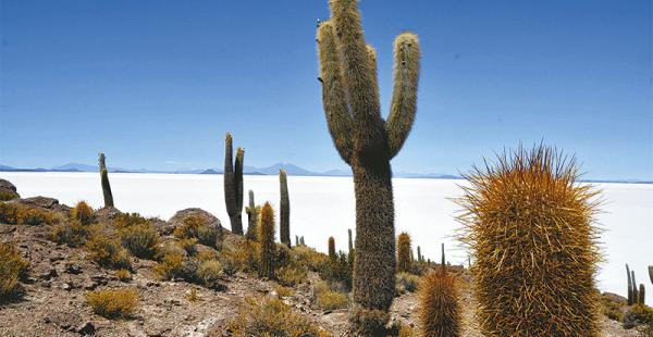 Paisajes que rodean al Salar de Uyuni