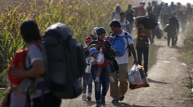 Después de los refugiados sirios viene nueva ola de Afganistán que Alemania no podría aguantar