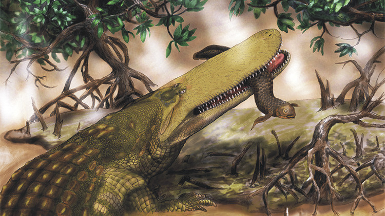 ¿Podría el cambio climático 'resucitar' a los crocodilios extintos?
