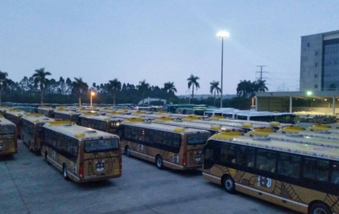 Los “pumakatari” atrapados por el tifón chino esperan salir en los próximos días del puerto de Xiamen Los “pumakatari” atrapados por el tifón chino esperan salir en los próximos días del puerto de Xiamen