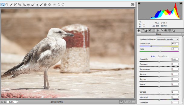 Fotografía con histograma desplazado a la derecha