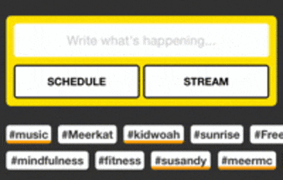 hashtags meerkat
