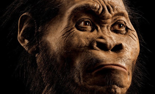 Homo naledi