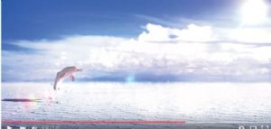 Hay 4 similitudes entre spot de Bolivia y Perú