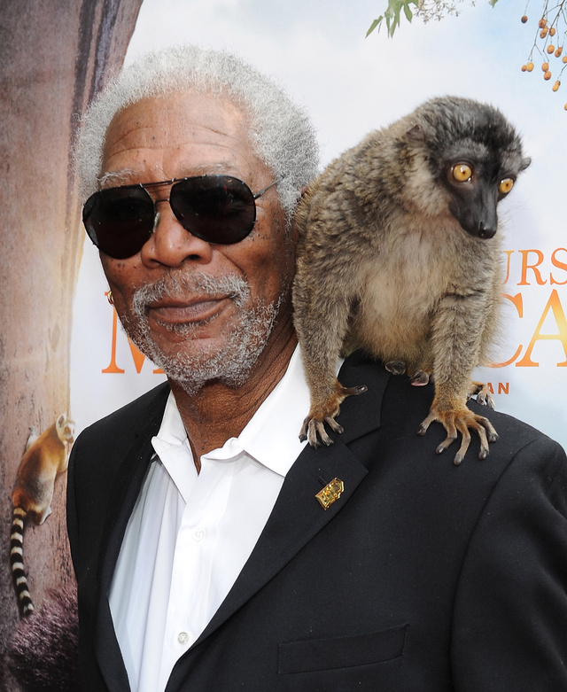 Morgan y un lemur.