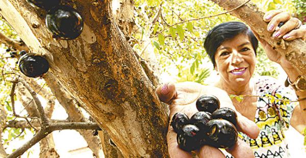 Doña Mary Nery cuida sus plantas nativas, como el guapurú, por ello festeja cada año los días nacional e internacional del árbol