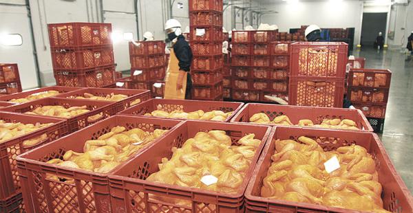 La calificación para los préstamos productivos no son fáciles ni expeditos