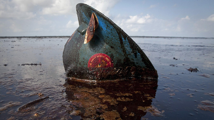 Catastróficas consecuencias del derrame de petróleo en el golfo de México