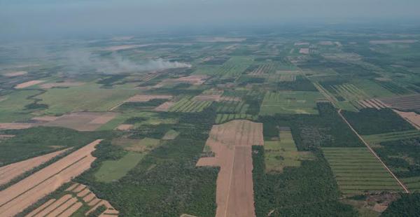 La deforestación en la Amazonía de Bolivia supera los 10.000 kilómetros cuadrados