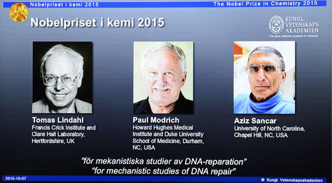 Los galardonados con el Nobel de Química. Foto: AFP