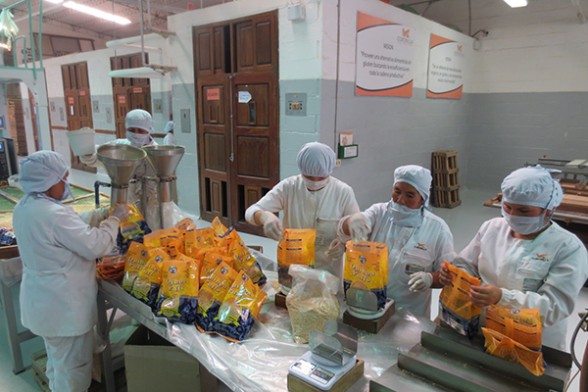 Trabajadoras de la fábrica Coronilla en plena producción de fideos y pastas libres de gluten en base a cereales andinos. - Cortesía del entrevistado Periodista Invitado