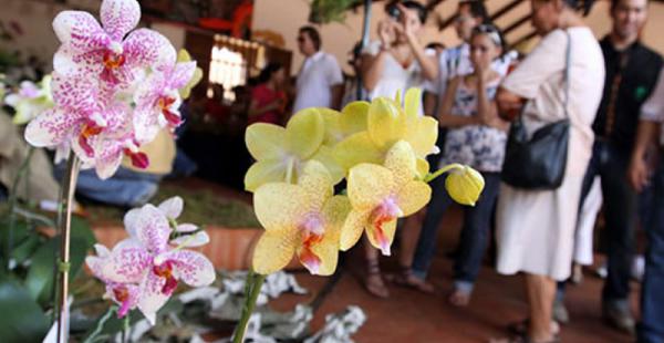 El festival de las Orquídeas tuvo una buena respuesta del público. Cientos de personas lo disfrutaron