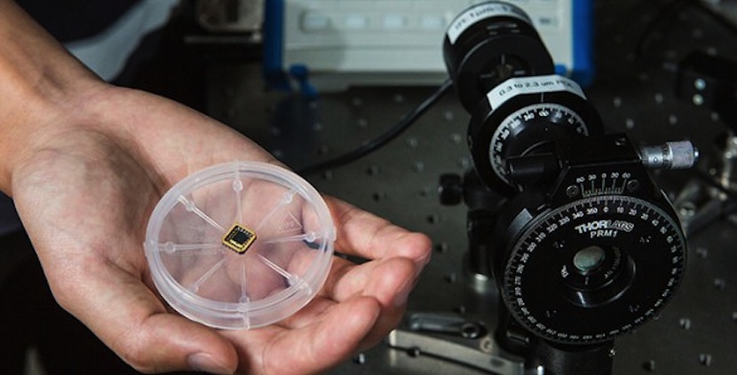 detector1 Consiguen introducir un detector de luz polarizada en un chip de silicio