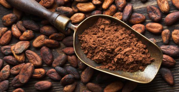 Dos muestras de cacao de origen paceño y beniano fueron seleccionadas entre las 17 mejores del mundo por los Premios Internacionales de Cacao 2015 en Francia