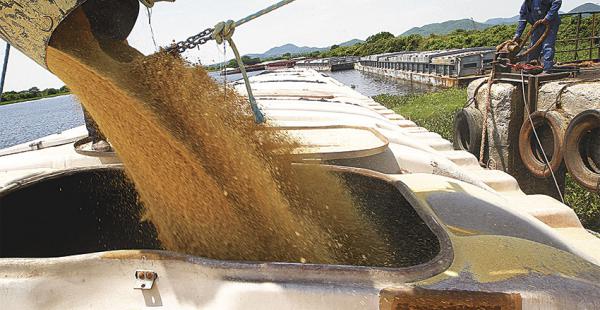 Los productores de oleaginosas esperan que el clima no debilite la producción en 2016