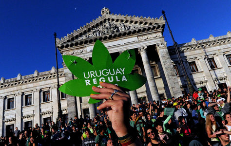 Manifestaciones a favor d ela producción de marihuana en Montevideo, Uruguay. Foto: www.taringa.net