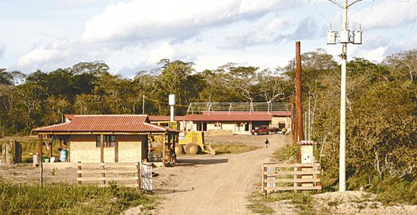 Centro de faenamiento de ganado que hoy será inaugurado