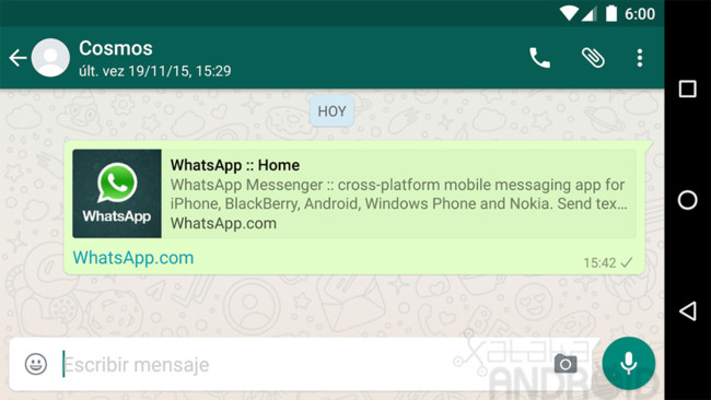 Whatsapp Vista Previa