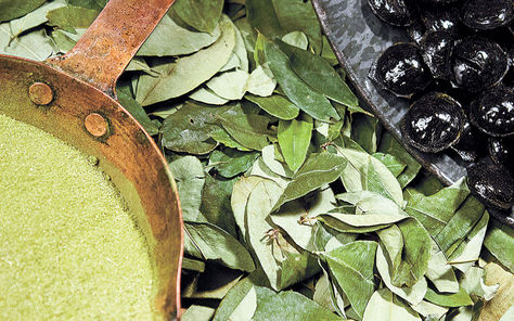 Producto. Coca molida, hojas de la planta ancestral y dulces en la factoría de Icori en Cota Cota.