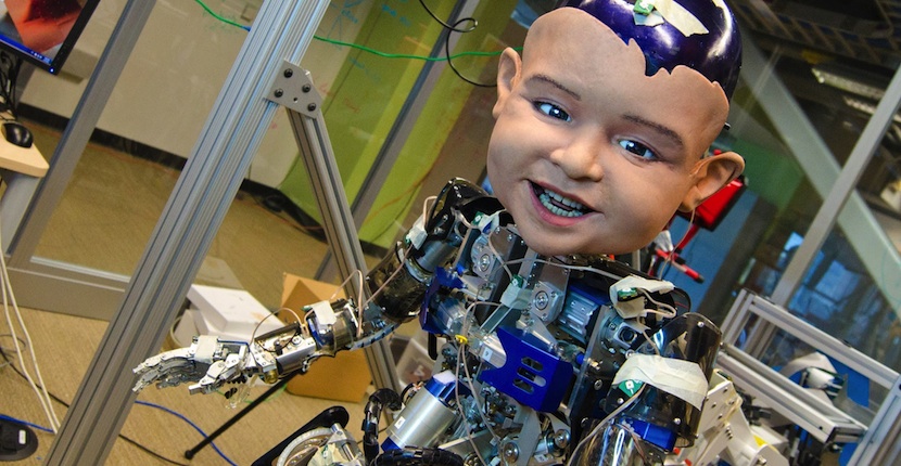 ¿Cómo se puede desarrollar la inteligencia sensomotriz? robo ¿Cómo se puede desarrollar la inteligencia sensomotriz?