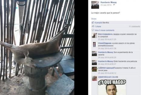 Humberto Masay publicó una serie de fotos en Facebook en las que exhibe el producto de su cacería