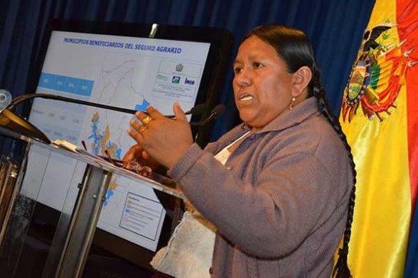 La exministra de Desarrollo Rural y Tierras, Nemesia Achacollo. | Foto archivo -   Abi Agencia