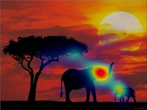 elefante