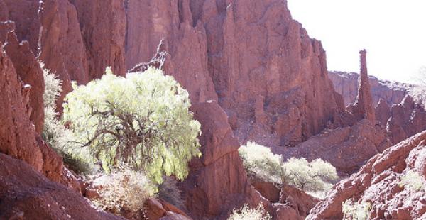 El cañón de Tupiza es uno de los principales atractivos del sur de Potosí. Una turista fue encontrada sin vida en ese lugar