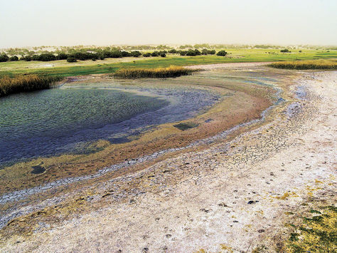 Extensión. El humedal aledaño al municipio de Quillacas mide aproximadamente 500 m2. El agua se evaporó hace poco en la zona.
