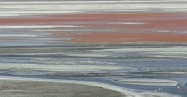 De acuerdo con datos de la secretaría de turismo el caudal de la Laguna Colorada se ha disminuido un 60%