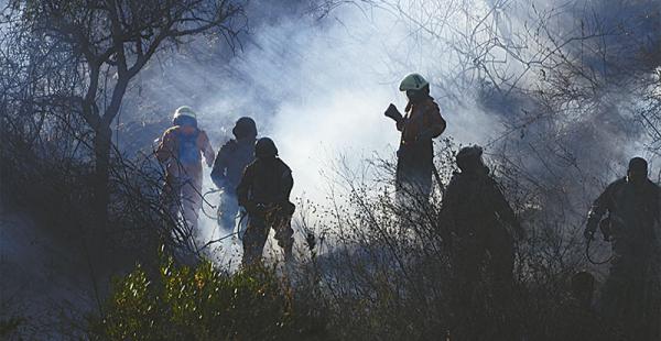 El fuego dañó 400 hectáreas de áreas forestales en Cochabamba