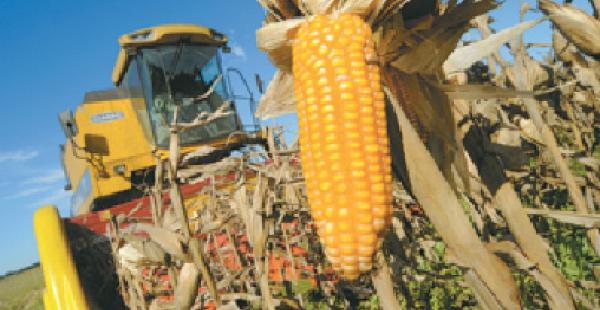 agro tractores campo agropecuario rural