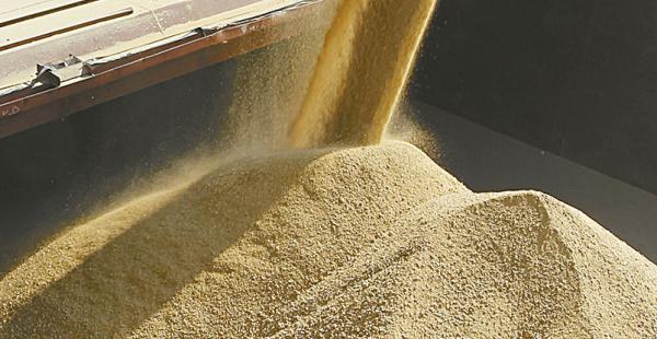 Los productores de soya están preocupados por la inserción al bloque