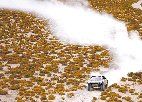 Veloz. El francés Sebastien Loeb encara las últimas curvas antes de llegar al punto de control.
