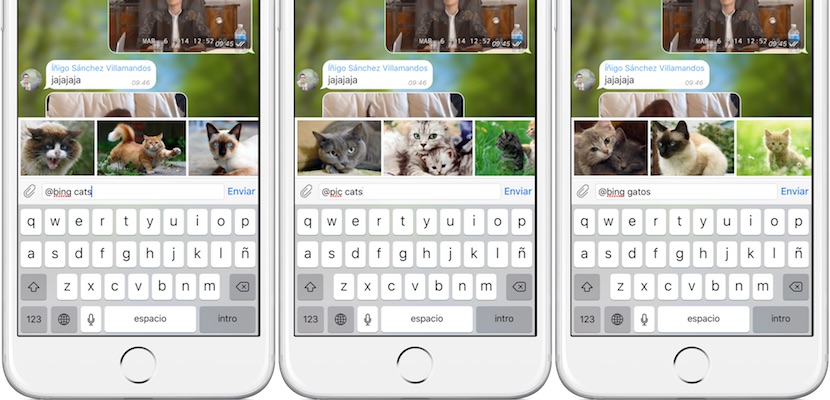 Uso de bots en Telegram