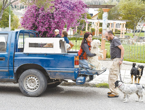 Transporte. Serrano (izquierda) y Soruco (derecha) atienden a sus primeros clientes con el ‘Taxi Dog’.