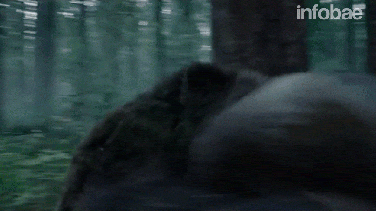 Leonardo DiCaprio en el filme The Revenant, nominado a 12 premios Oscar 