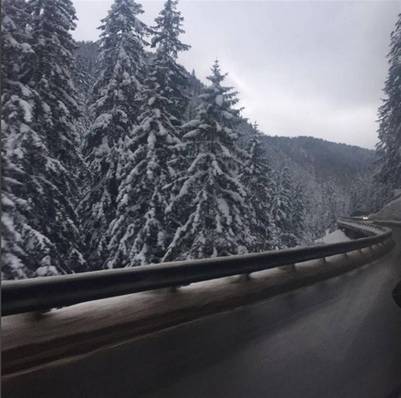 Viaje de Macri a Davos