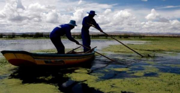 El lago Titicaca sufre de contaminación y ese puede ser uno de los factores que podrían contribuir a su desaparición