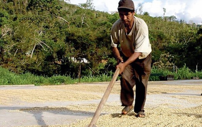 Según expertos, la segunda reforma agraria no acabó con la inequidad en el acceso a la tierra 