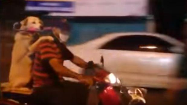 Perro montado en una moto causa admiración en YouTube [VIDEO]