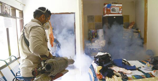 preocupan los mosquitos las autoridades alertan a los vecinos sobre los criaderos Personal del Sedes fumigó los domicilios del barrio Brígida, donde se detectó dos infestados